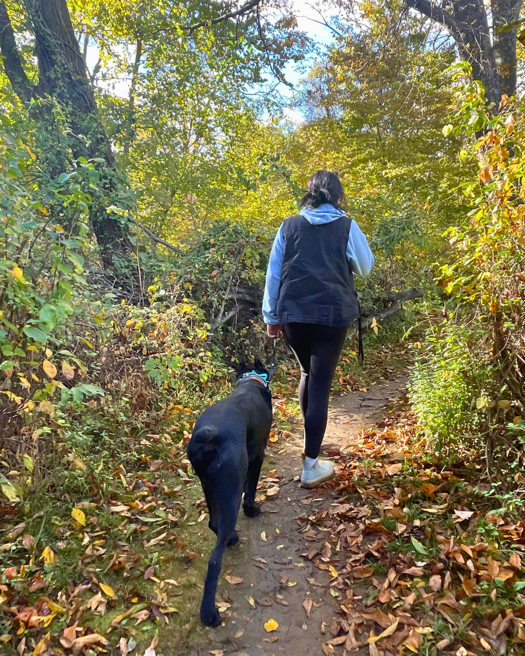 Woman walking alongside dog on a nature path