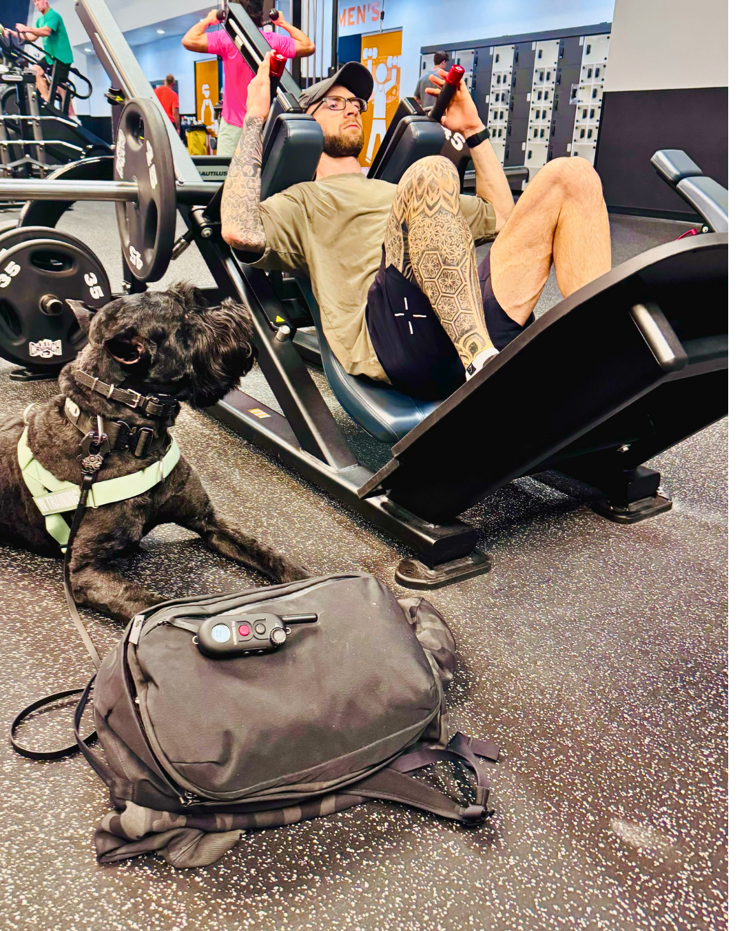 Man on benchpress at a gym with dog looking on while laying on the floor