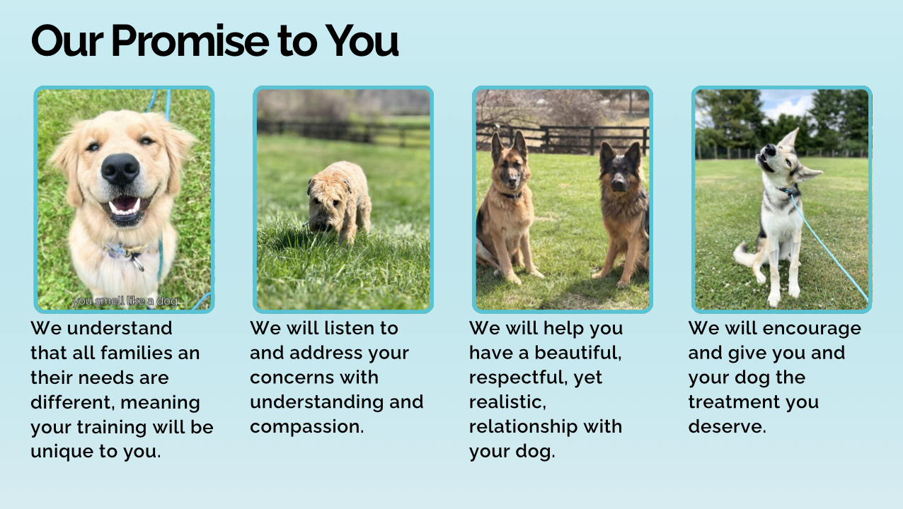 Our Promise to You