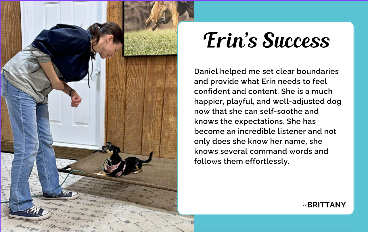 Erin's Success