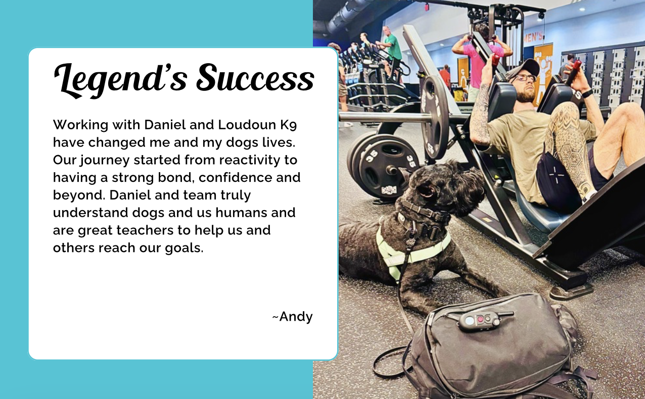 Legend's Success
